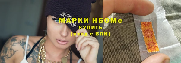 стаф Алзамай