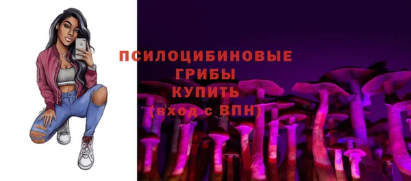 крисы Алексеевка