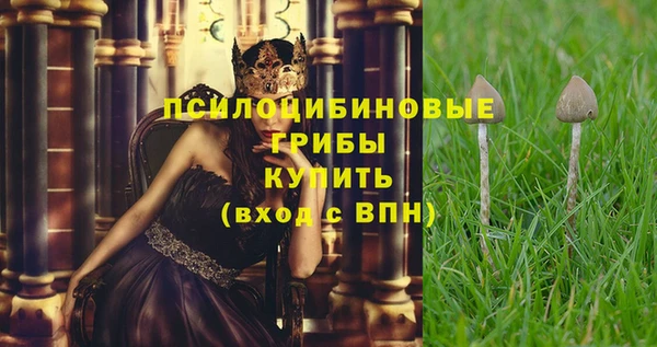 стаф Алзамай
