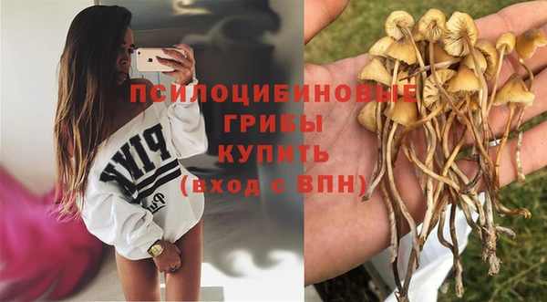 крисы Алексеевка