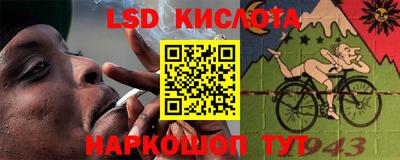 крисы Кингисепп