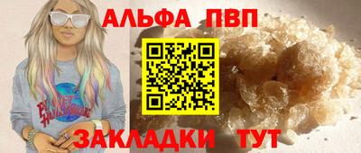 крисы Кингисепп