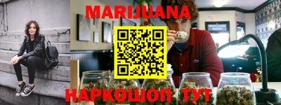 крисы Кингисепп