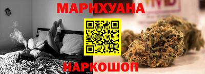 крисы Кингисепп