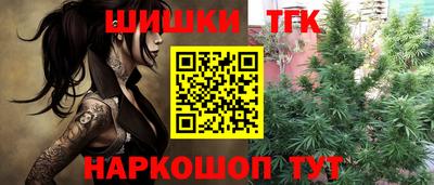 крисы Кингисепп