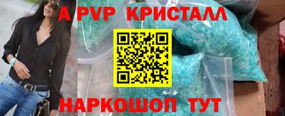 крисы Кингисепп