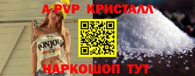крисы Кингисепп