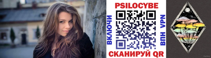 магазин продажи   Ирбит  Псилоцибиновые грибы Psilocybe 