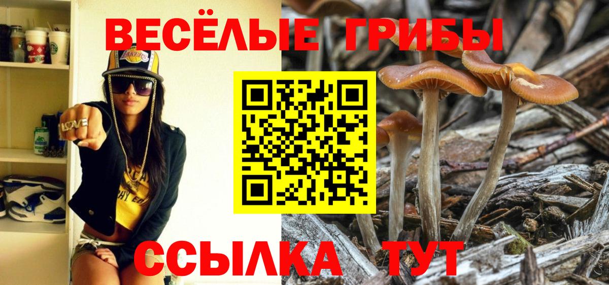 Псилоцибиновые грибы MAGIC MUSHROOMS Ирбит