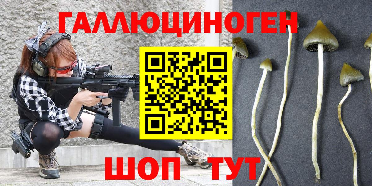 Галлюциногенные грибы Magic Shrooms  Вход с VPN  Галлюциногенные грибы прущие грибы  наркотики  Ирбит 